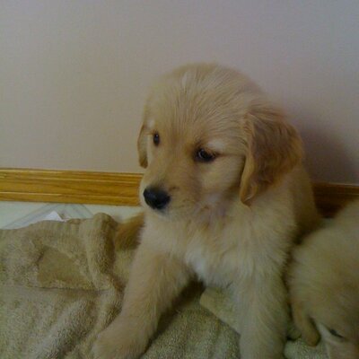 Profile Picture of Dave Chipman (@davechipman) on Twitter