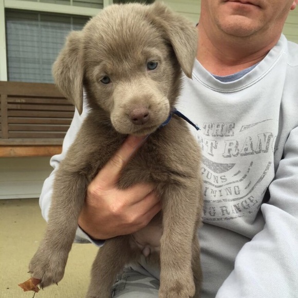 Profile Picture of Morgan Stuart (@mstuart2151) on Poshmark