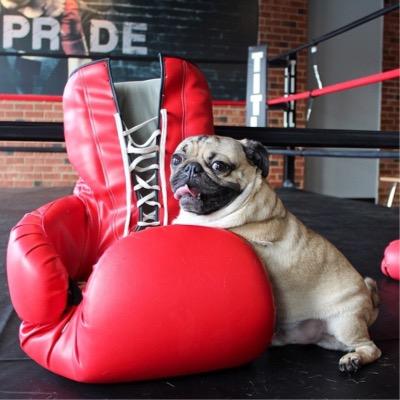 Profile Picture of EUNICE ESCOBEDO (@@EUNICEROBLEDO) on Twitter