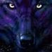 Profile Picture of Jeff Imhof (@jeff.imhof.779) on Facebook