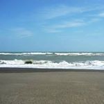 Profile Picture of Michael Kory (@michaelkkory) on Instagram