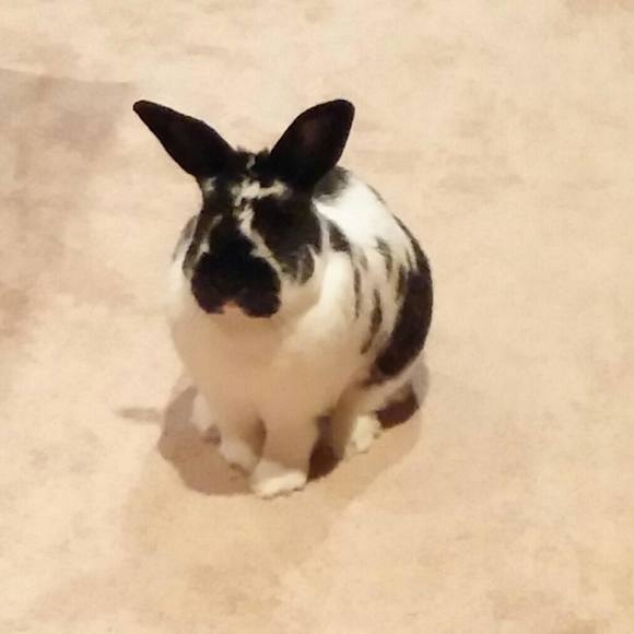 Profile Picture of Chris Files-warren (@cawarren2) on Poshmark