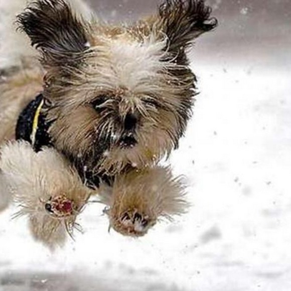 Luke Skaljac - Poshmark Profile Picture of Luke Skaljac (@skally_wally_00) on Poshmark