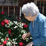 Profile Picture of Howard Jimmy Stanton Stanton (@howard_jimmy_stanton_stanton) on Instagram