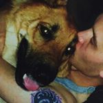 Profile Picture of Mark Seals (@themeedlyone) on Instagram