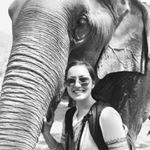 Profile Picture of Bailey Wong (@baileywong_) on Instagram