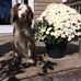 Profile Picture of Cheryl Haughn (@cheryl.haughn.7) on Facebook