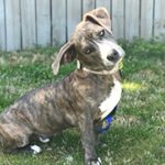 Profile Picture of Doovy Dwyer (@dwyer_dana) on Instagram