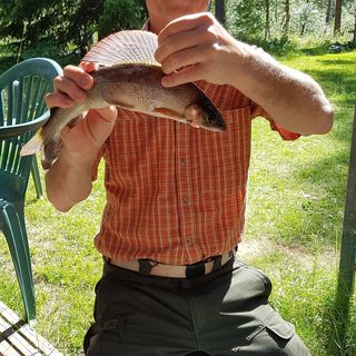 Profile Picture of Kent Blomström (@kent.blomstrom) on Facebook