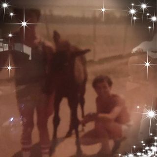 Profile Picture of Pasqualino Lino Gasparro (Lino or Pat) (@john.robson.39904) on Facebook