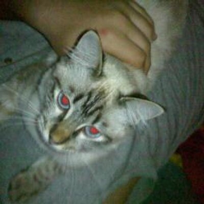 Profile Picture of David Antoine (@dav_antoine) on Twitter