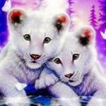 Frank Sobiella - Instagram Profile Picture of Frank Sobiella (@franksobiella) on Instagram