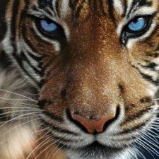 Profile Picture of Bartłomiej Wojtunik (@Bartek25482) on Twitter