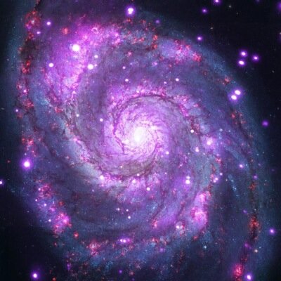 Profile Picture of Caleb Pruitt (@CalebCares) on Twitter
