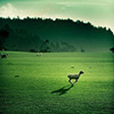 Profile Picture of Peter Kennard (@peterkennard1) on Twitter