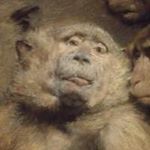 Profile Picture of Andrew Yakas (@yakasandrew) on Instagram