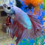 Marshall Drexler - Facebook Profile Picture of Marshall Drexler (@marshall.drexler.1) on Facebook