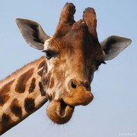 Profile Picture of Matthew Jeffery (@matthew-jeffery-5) on Quora