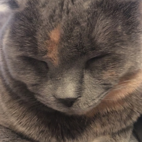 Profile Picture of Mitchell Holubar (@mholubar) on Poshmark