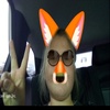 Profile Picture of Gina Wilhelmi (@@gina.liebt.hunde) on Tiktok