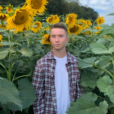 Profile Picture of Nick Galasso (@NickGalasso) on Twitter