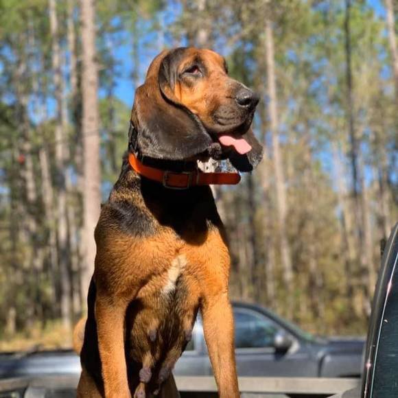 Profile Picture of Kendall Alguire (@micki6070) on Poshmark