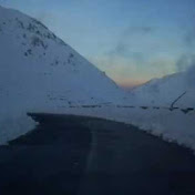 Profile Picture of Berardo (@berardo) on Youtube