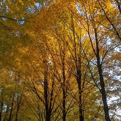 Profile Picture of Megan Frerichs (@FrerichsMegan) on Twitter