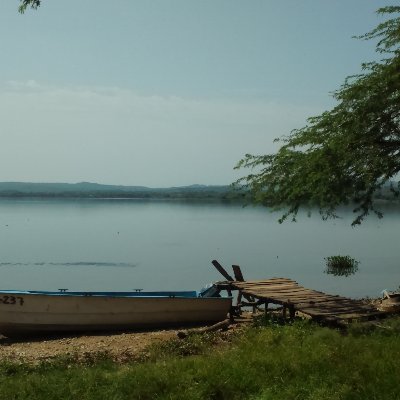 Profile Picture of Tania Lora (@TaniaLora) on Twitter