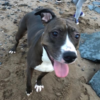 Profile Picture of Umberto_Fava (@UmbertoFava4) on Twitter