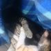 Profile Picture of Che Mitchell (@che.mitchell.1042) on Facebook