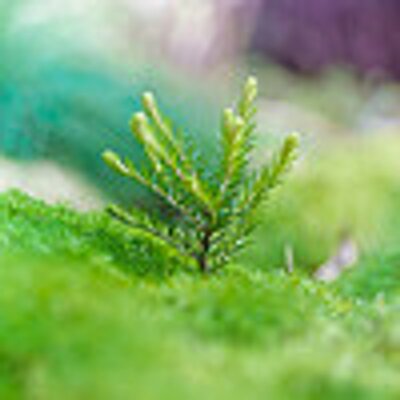 Profile Picture of Derek Goddard (@goddard_derek) on Twitter