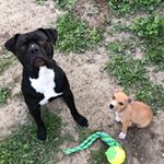 Profile Picture of Bryan Lefebvre (@bryan__lfb) on Instagram