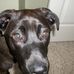 Profile Picture of Robert Ostrow (@robert.ostrow.7) on Facebook