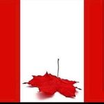 Profile Picture of Darryl (@darryl_carr) on Instagram