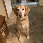 Profile Picture of Stuart Gowan (@stuart.gowan.2025) on Facebook