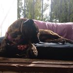 Profile Picture of Berta Campos (@bertacamposgil) on Instagram