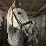 Profile Picture of Kimmy (@kim_munro_) on Instagram