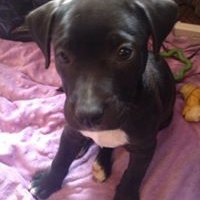 Profile Picture of Kenny N Dusty Housh (@dusty.housh) on Myspace