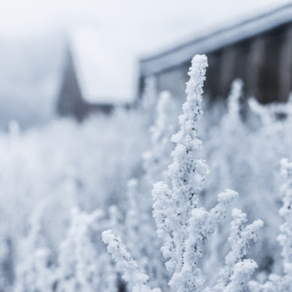 Profile Picture of Maryam Norouzi (@1605702) on Poshmark