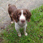 Profile Picture of w la caccia (@simone_stillitano) on Instagram