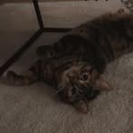 Profile Picture of Bryan Muller (@Bryan-Muller) on Facebook