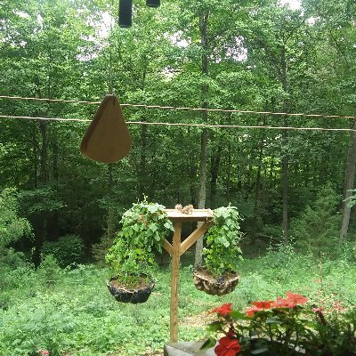 Profile Picture of Alice E Worley (@worley_alice) on Twitter