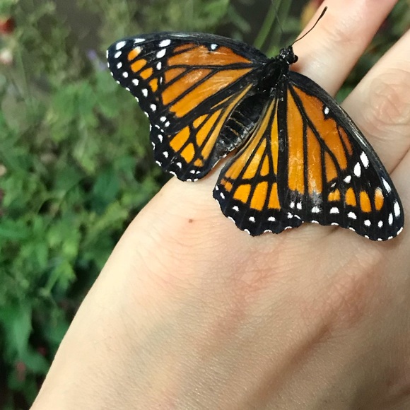 Profile Picture of Claudia Tejeda (@kkklaudy) on Poshmark