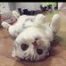Profile Picture of Jerald Chow (@jerald.chow.33) on Facebook