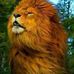 Profile Picture of John Themer (@john.themer.5) on Facebook