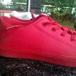 Profile Picture of Joyal Paul (@paul.joyal) on Instagram