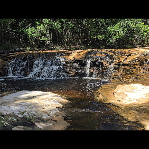 Profile Picture of Bradley Allen (@bradallen19) on Poshmark