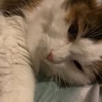 Profile Picture of Phoebe Savage (@Phoebe-Savage) on Facebook