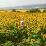 Profile Picture of Michaela Kotásková (@miska.kotaskova) on Instagram